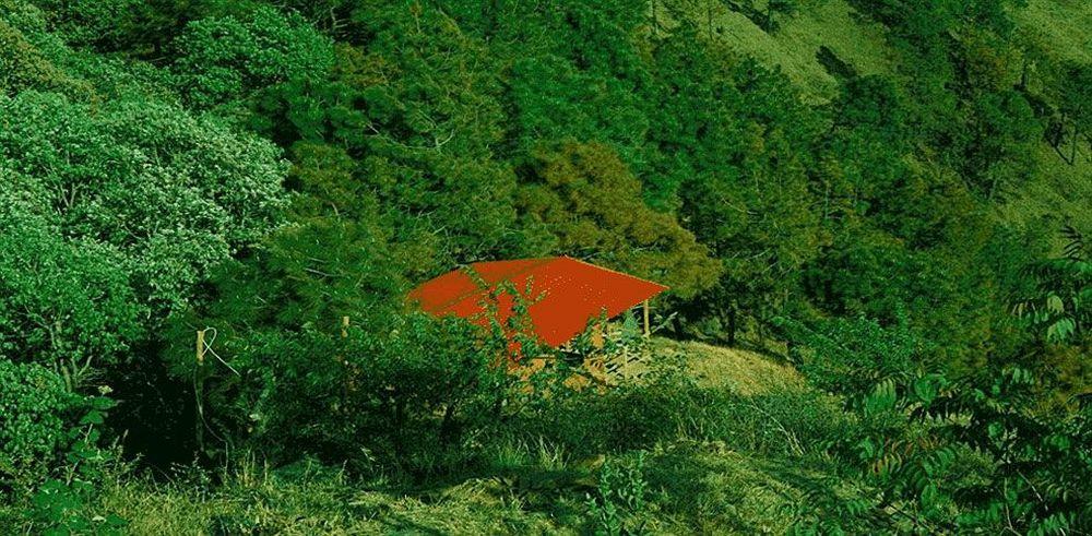 Aamod Resort Шімла Екстер'єр фото