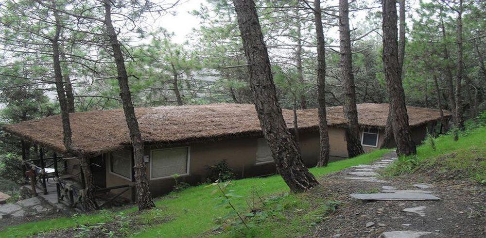 Aamod Resort Шімла Екстер'єр фото